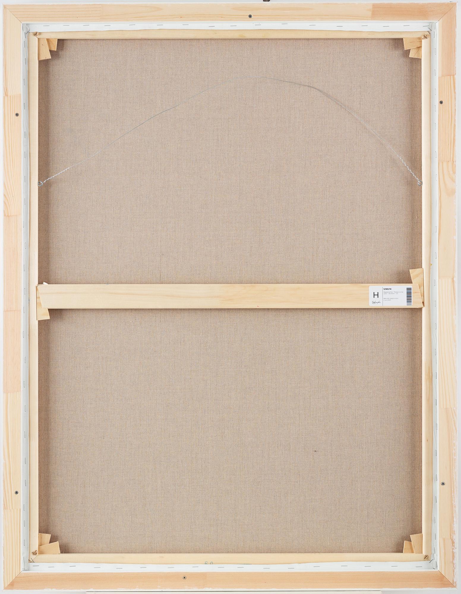 Madeleine Pyk, "Phalacrocorax carbo - Storskarv".