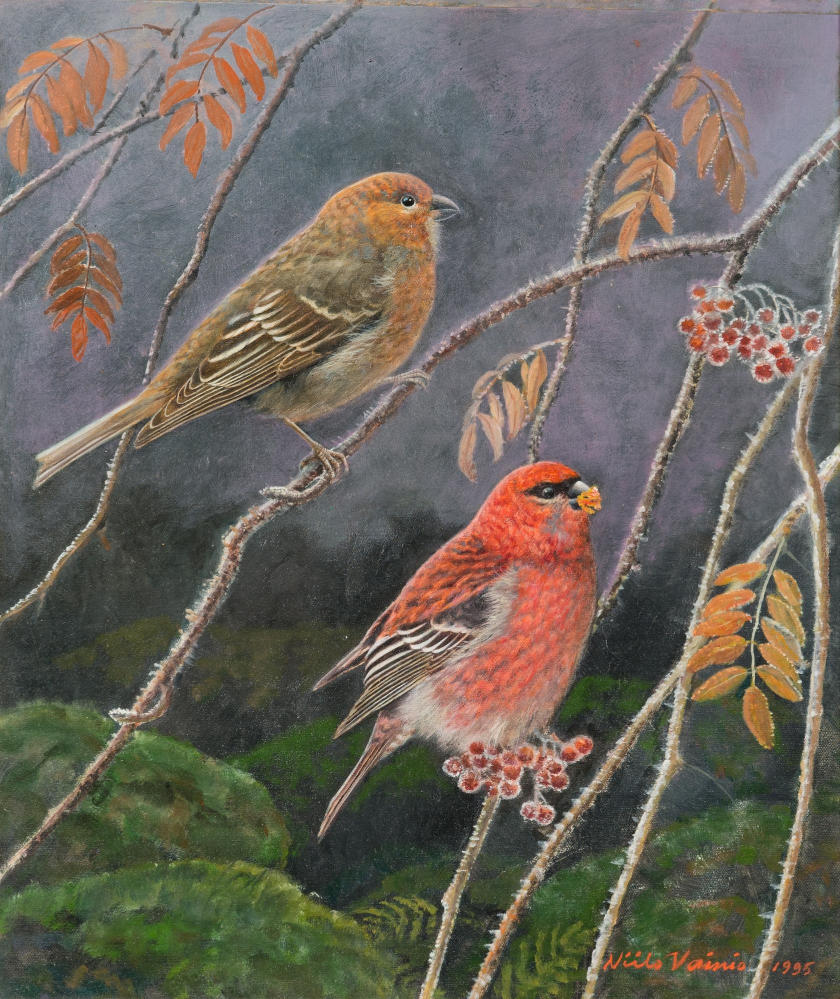 Niilo Vainio, Tallbitar.