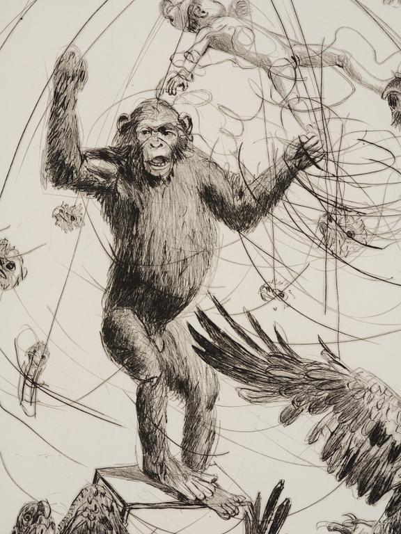 Linn Fernström, "Apursinne".