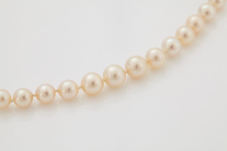 A WA Bolin cultured pearl necklace with an 18K white gold clasp set with a pink diamond.