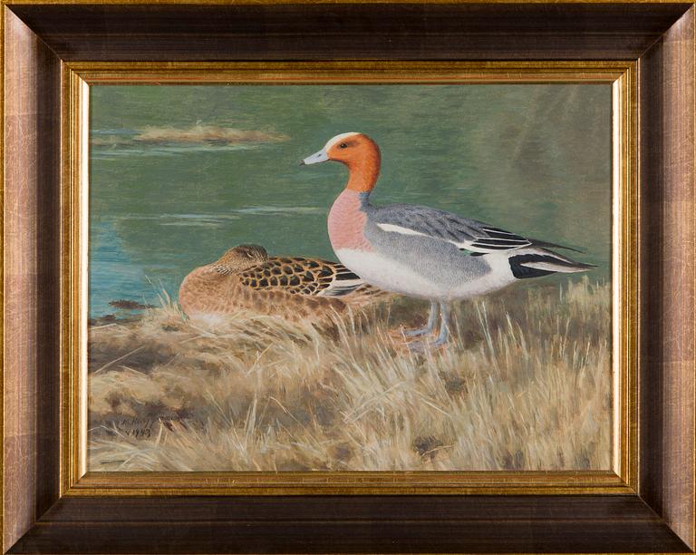 Matti Karppanen, Wigeons.