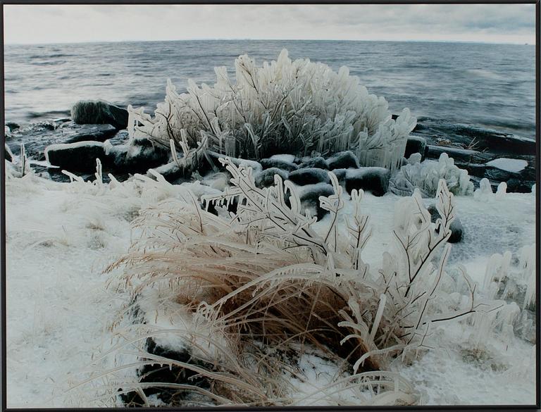 ANDREY BRINTSEV, fotografi, a tergo sign.