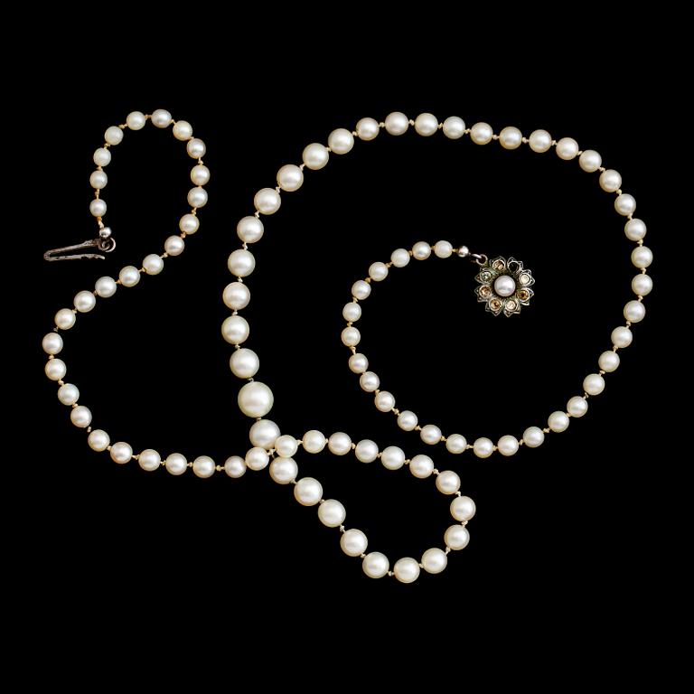 PÄRLCOLLIER, odlade doserade pärlor, silverlås, 1900-talets mitt.