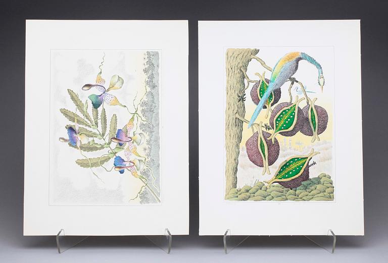 KARL AXEL PEHRSON, mapp med 10 färglitografier, "Vyer från Nirak", sign o numr 37/285. 1973.