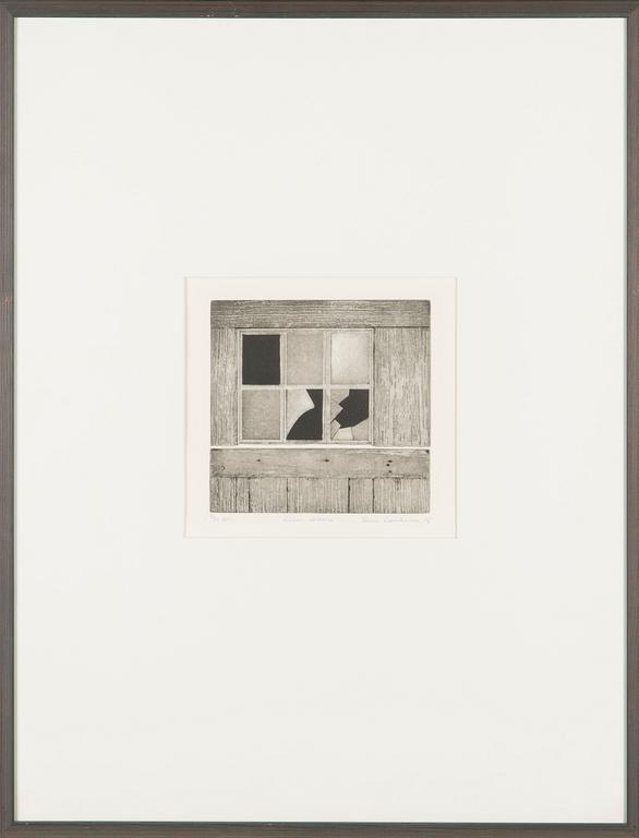 Elina Luukanen, 'Cabin window'.
