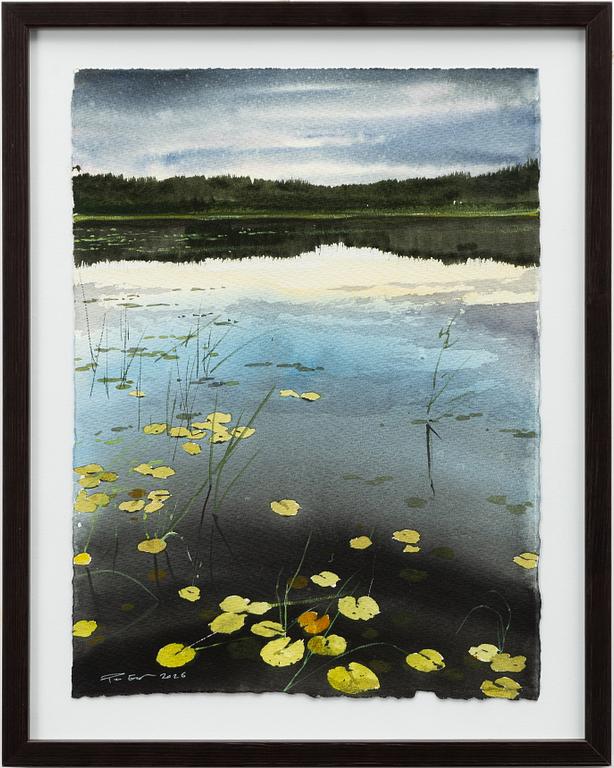 Peter Eugén, Water lily lake at dusk.