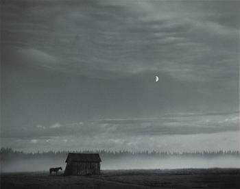 Pentti Sammallahti, "Pyhäjärvi, Finland, 1982".