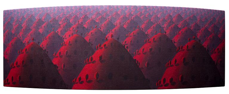 Kristian Krokfors, "RED ANDALUCIA".