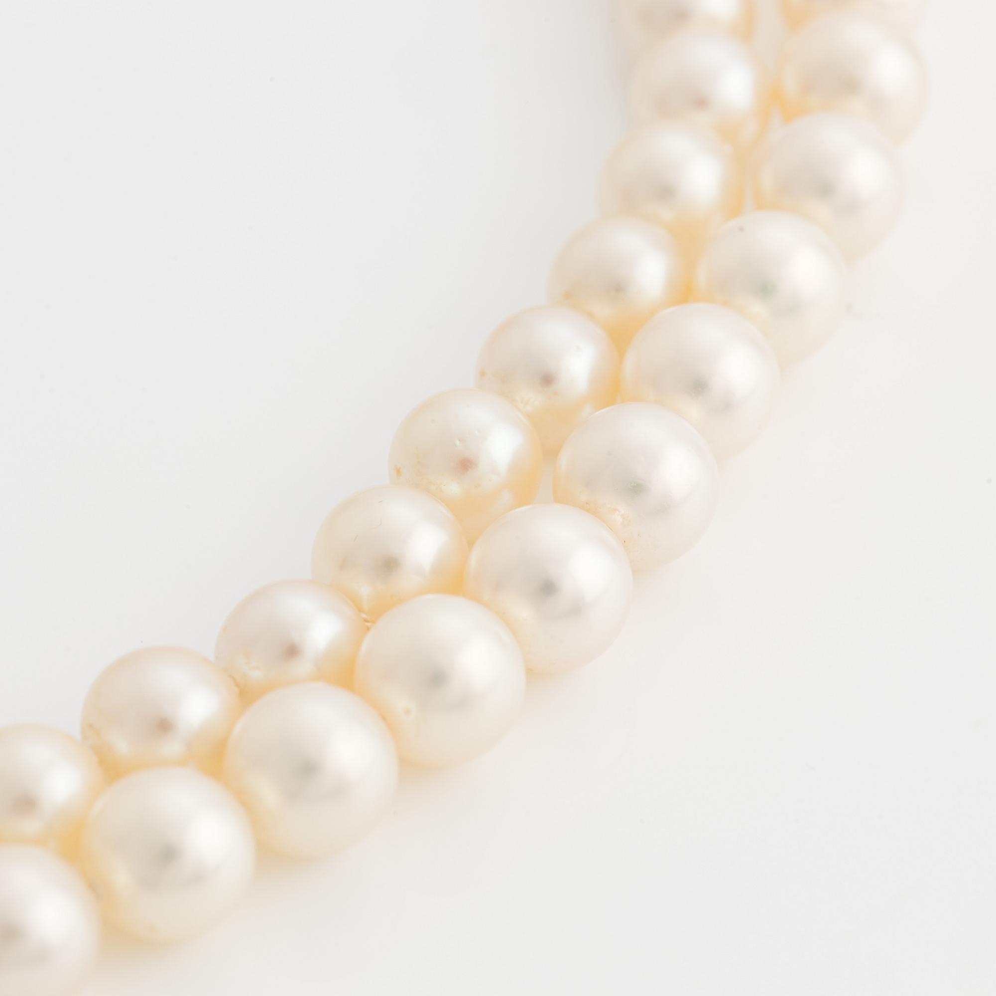 A two strand cultured pearl necklace.