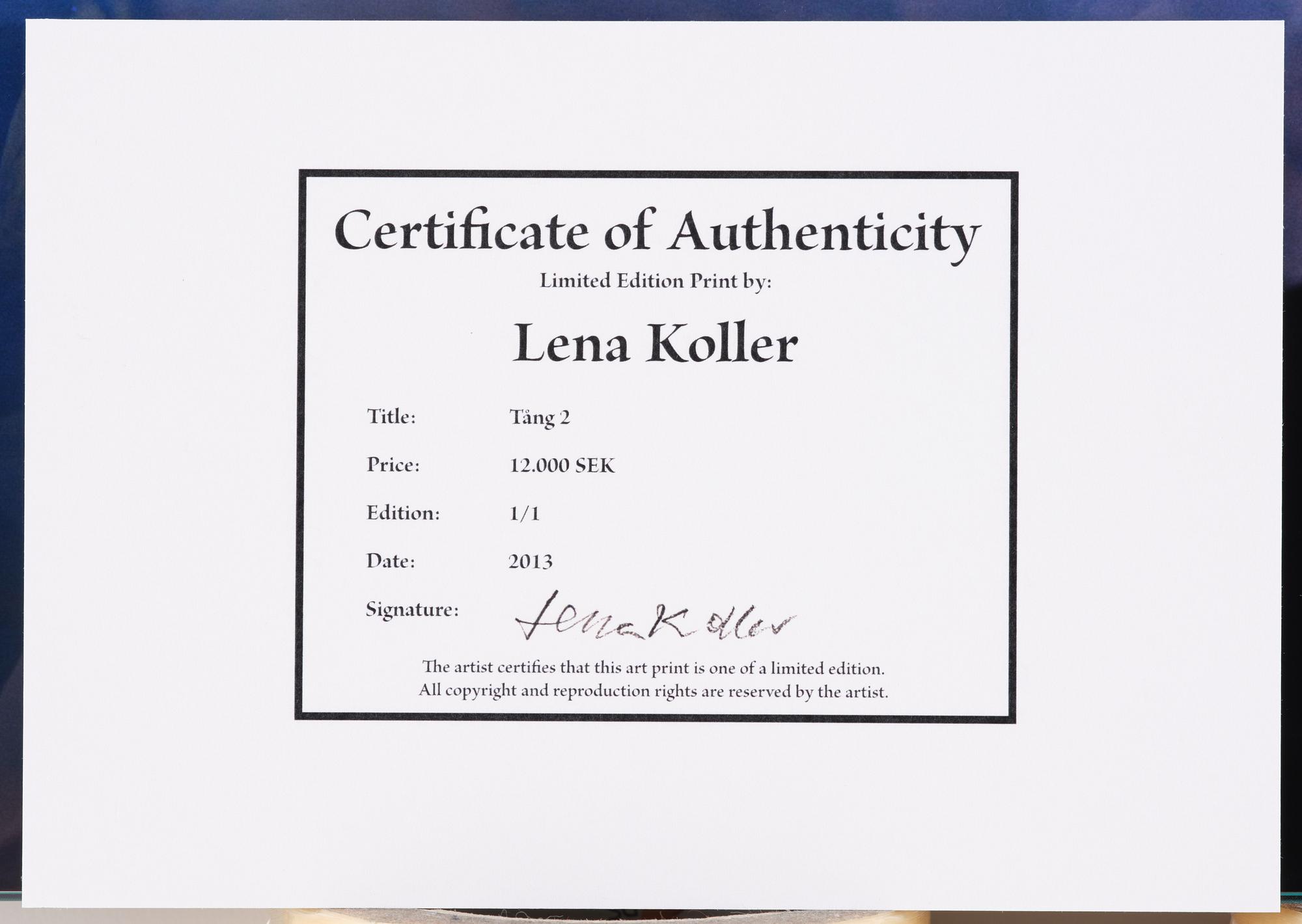 Lena Koller, "Tång", 2013.