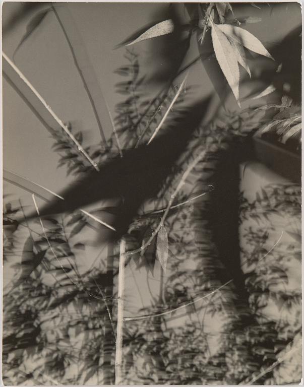 Åke E:son Lindman, Gelatin silver print, signed and dated 1989.
