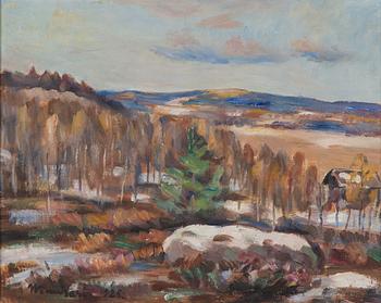 Janne Muusari, Maisema.