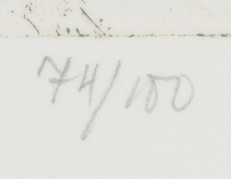 Outi Heiskanen, "Flygande dervisch".