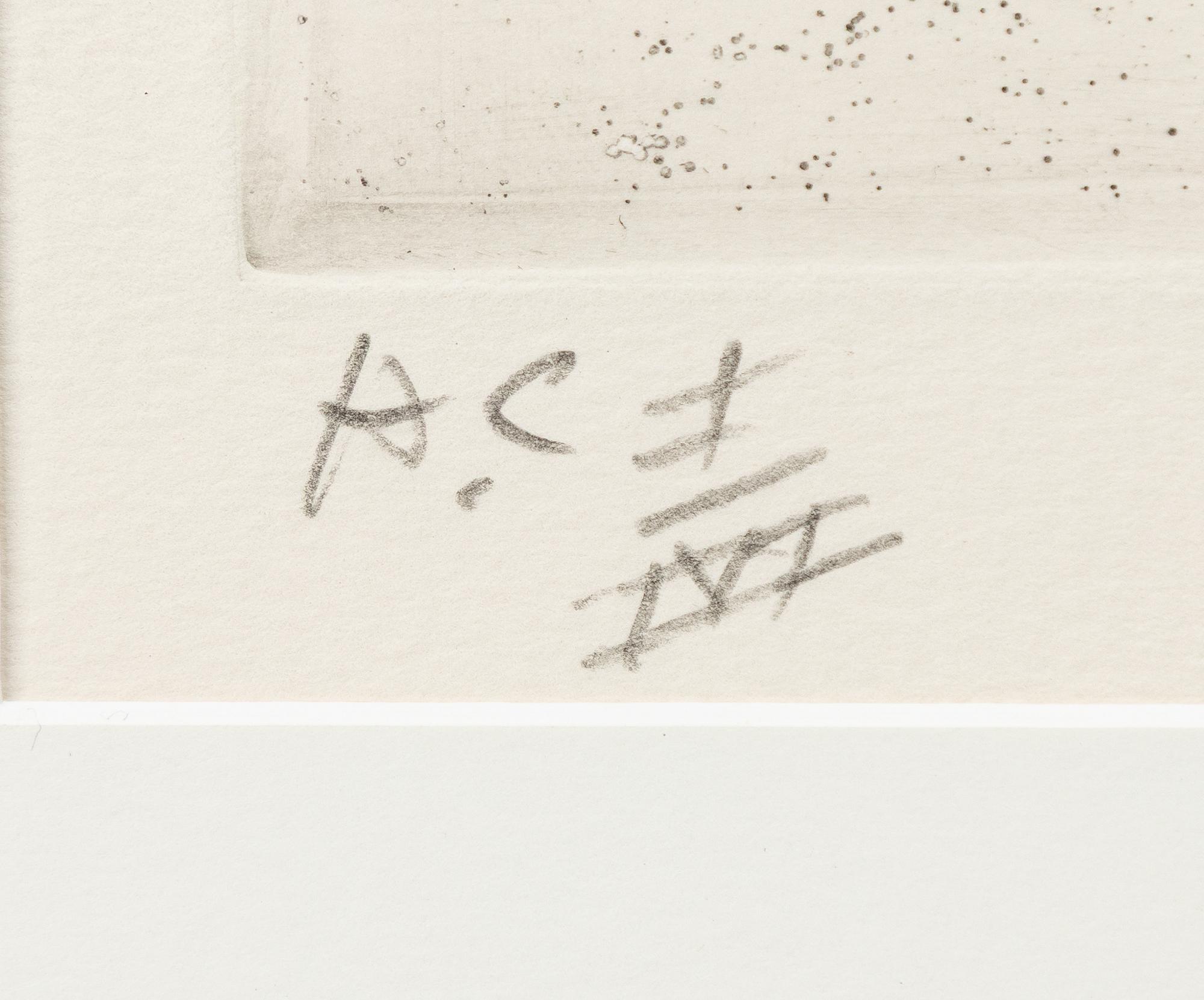 Arman (Armand Pierre Fernandez), "Les manches jaunes".