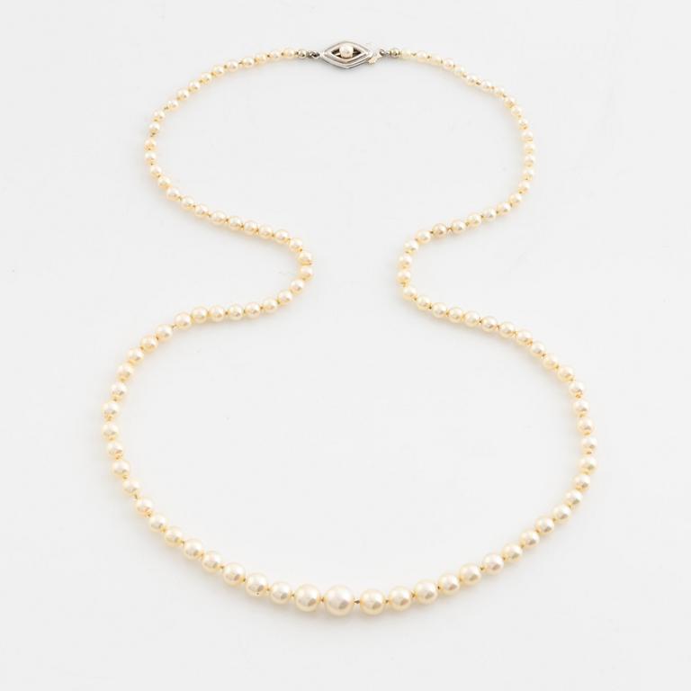 Calibrated cultured pearl necklace.