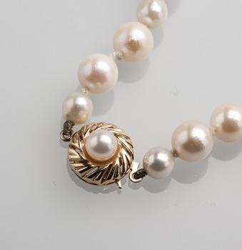 PÄRLCOLLIER, odlade pärlor med lås i 18 K guld.