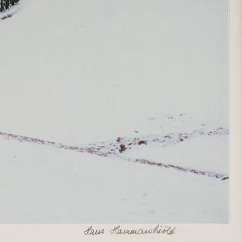 Hans Hammarskiöld, "Bastugatan, Stockholm, 1980".