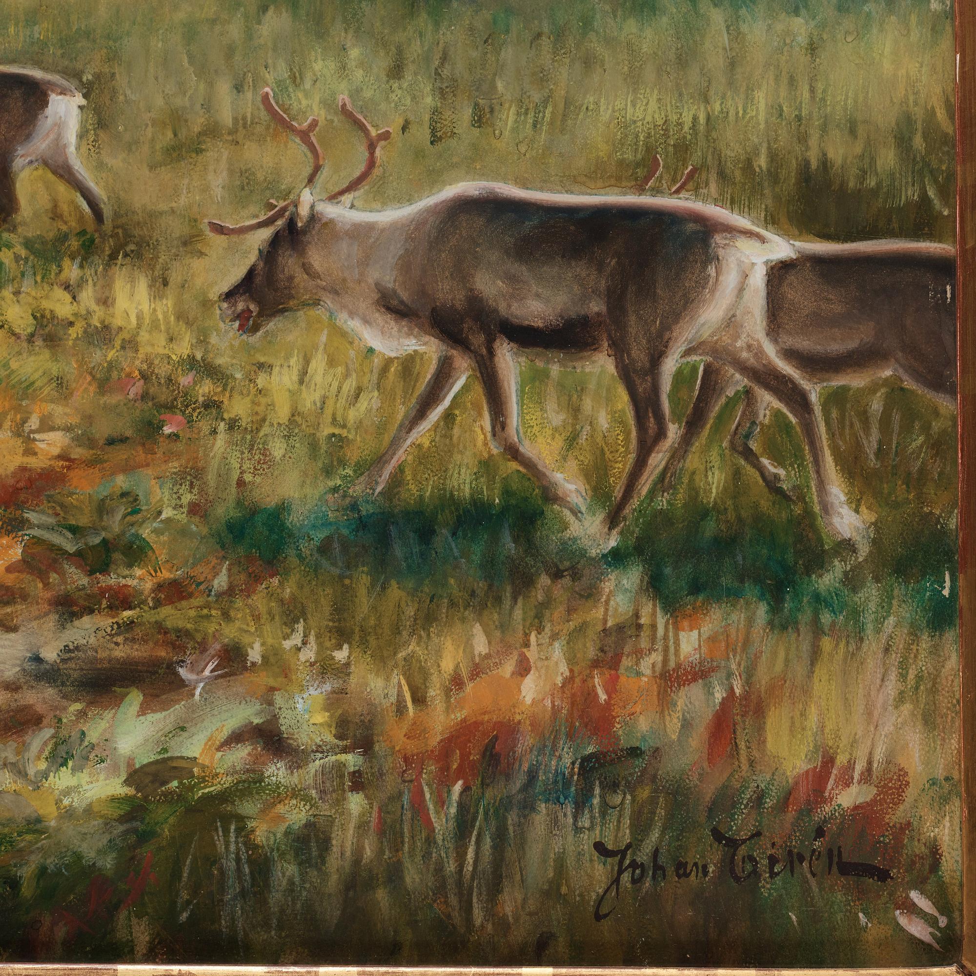 Johan Tirén, Reindeer in the early spring.