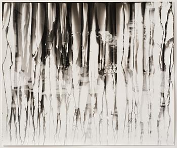 Iñaki Bonillas, "The Rain Came Last", 2013.