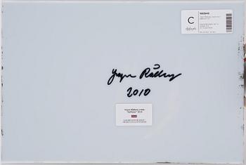 Yngve Rådberg, "Solflickor".