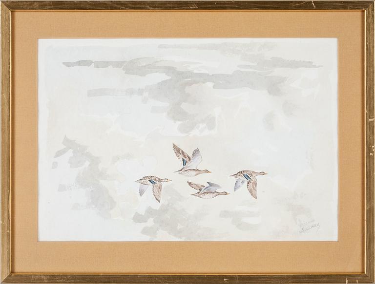 STEPHEN CLARK, akvarell. Sign.