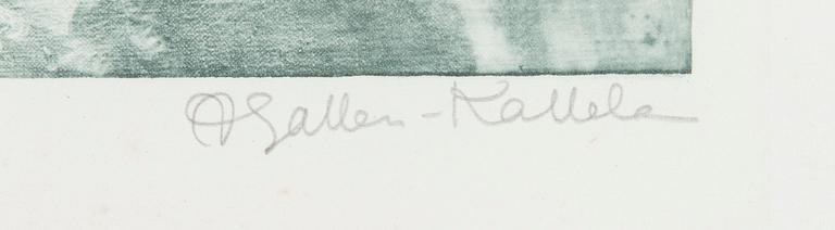 Akseli Gallen-Kallela, Motiv från Imatra.