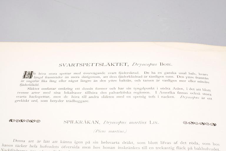 M, W & F VON WRIGHT, books, three volumes, 'Svenska fåglar', A. Börtzells tryckeri AB Stockholm, 1924-1929.