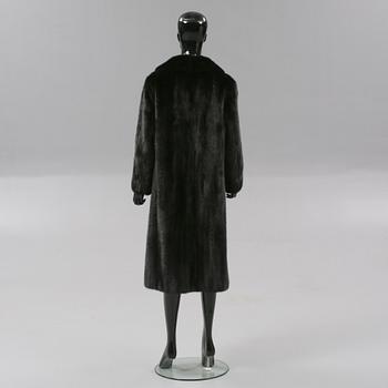 PÄLS, mink, Saga Mink.