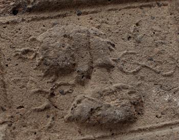 TEGEL, 2 delar, renässans, 1500-tal.