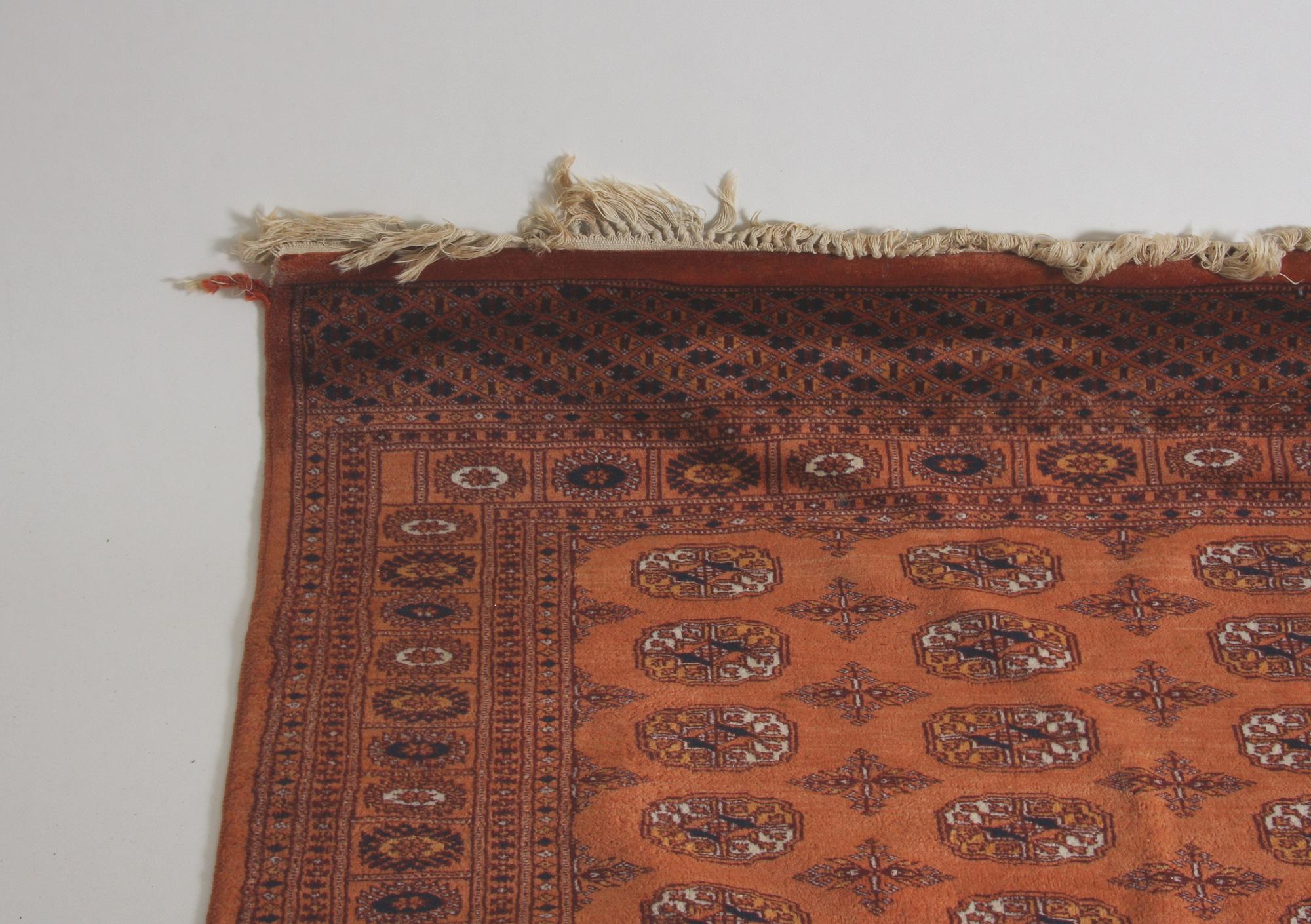 MATTA, Pakistan. 243 x 162.