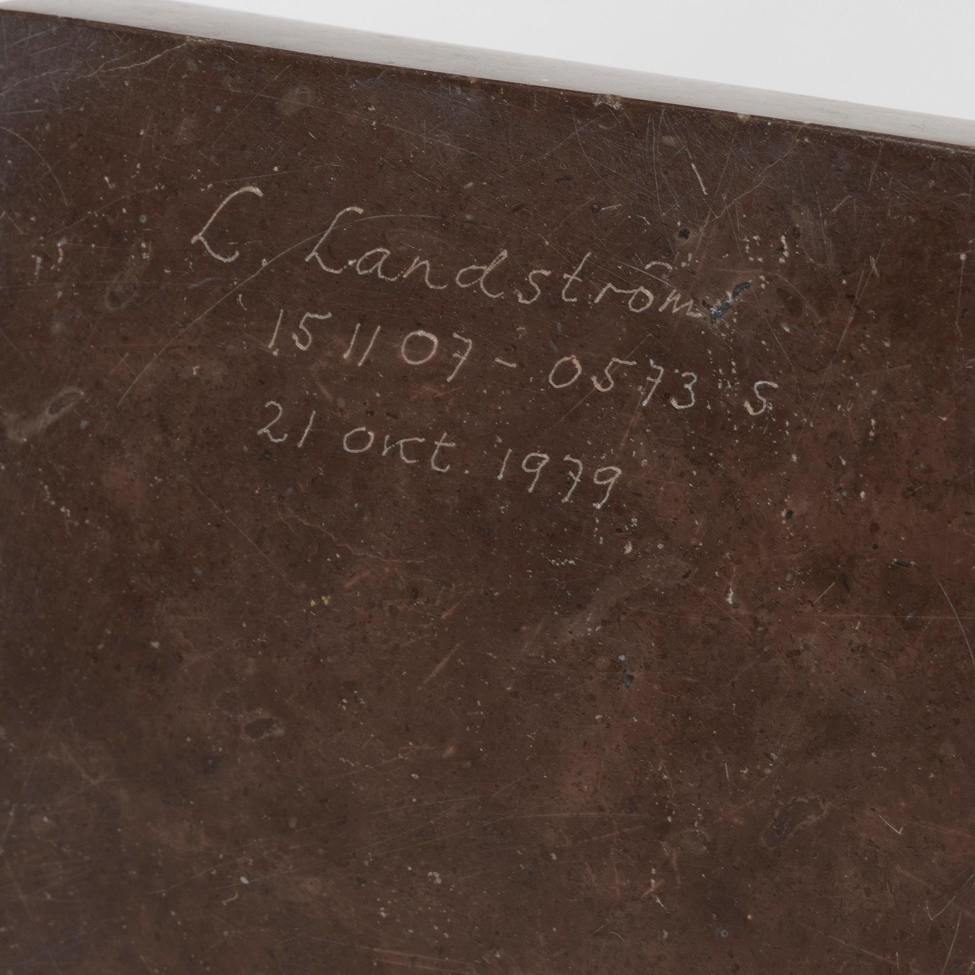 An Orthoceras fossil.