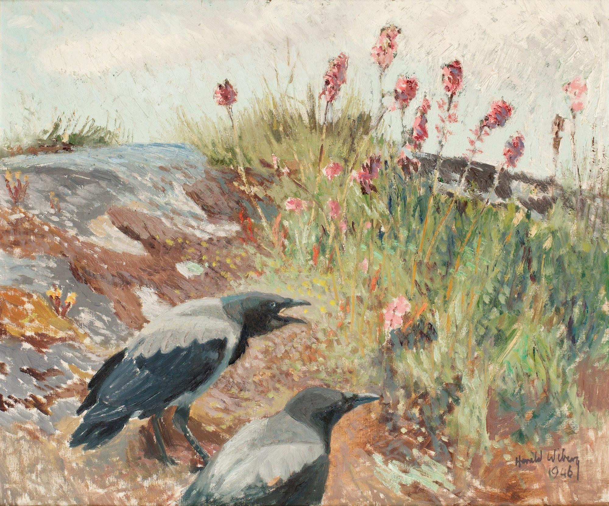 Harald Wiberg, Crows.