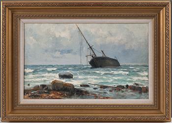 Woldemar Toppelius, HYLKY RANNALLA.