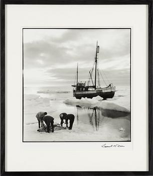 Lennart Nilsson,  "Isbjörnsjakt vid Hvitøya (Vitön), Svalbard, Norge 1947".