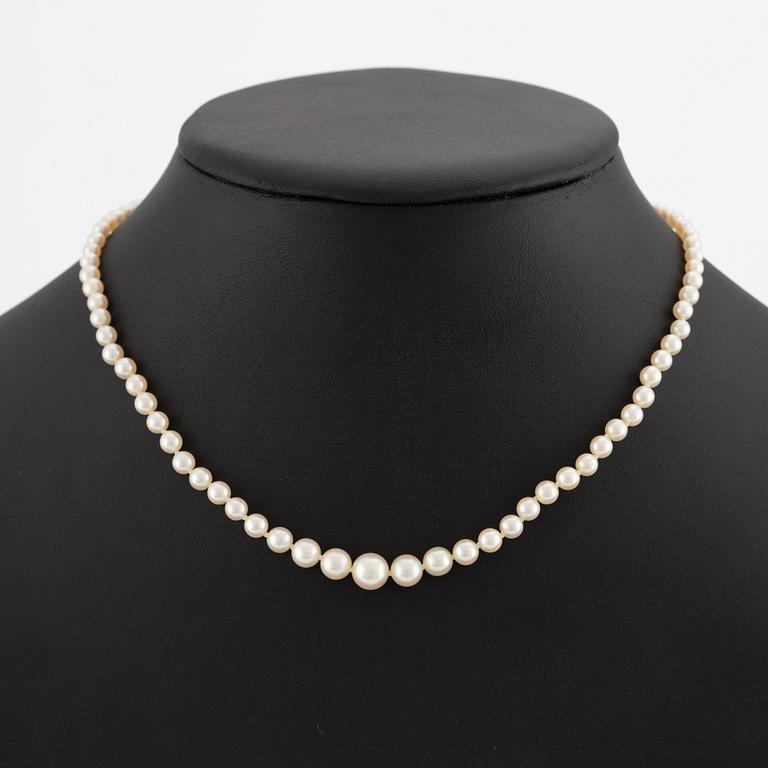 Necklace, with cultured graduated pearls, clasp in 18K gold.