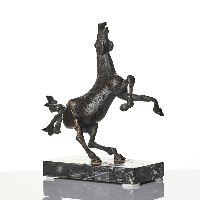 Sergio Capellini, stegrande häst.