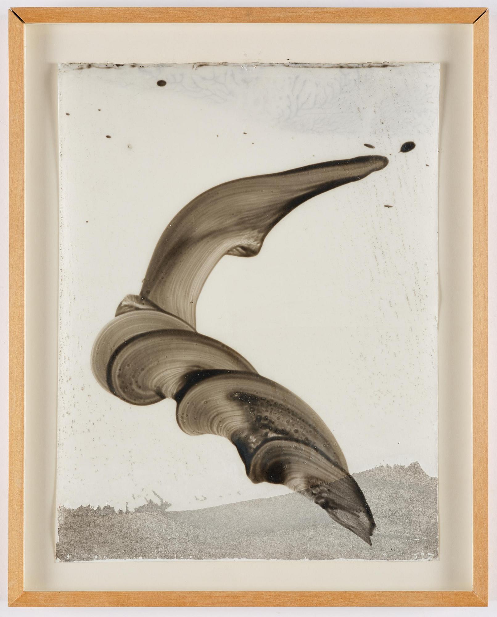 James Nares, "Untitled #1", 1993.