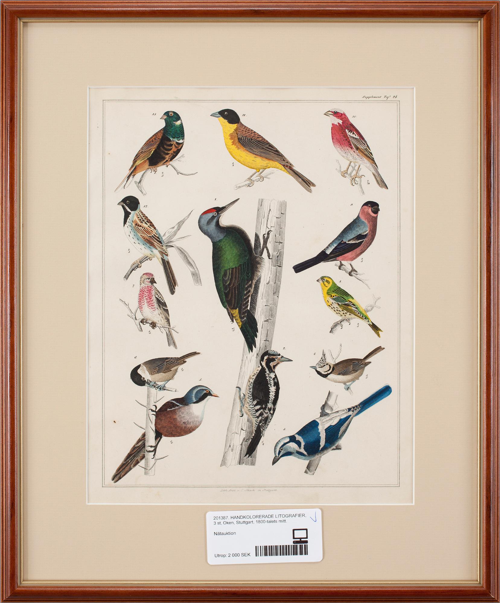 HANDKOLORERADE LITOGRAFIER, 3 st, Oken, Stuttgart, 1800-talets mitt.