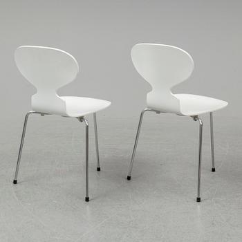 ARNE JACOBSEN, stolar, 6 st, "Myran", Fritz Hansen, Danmark, 2004.