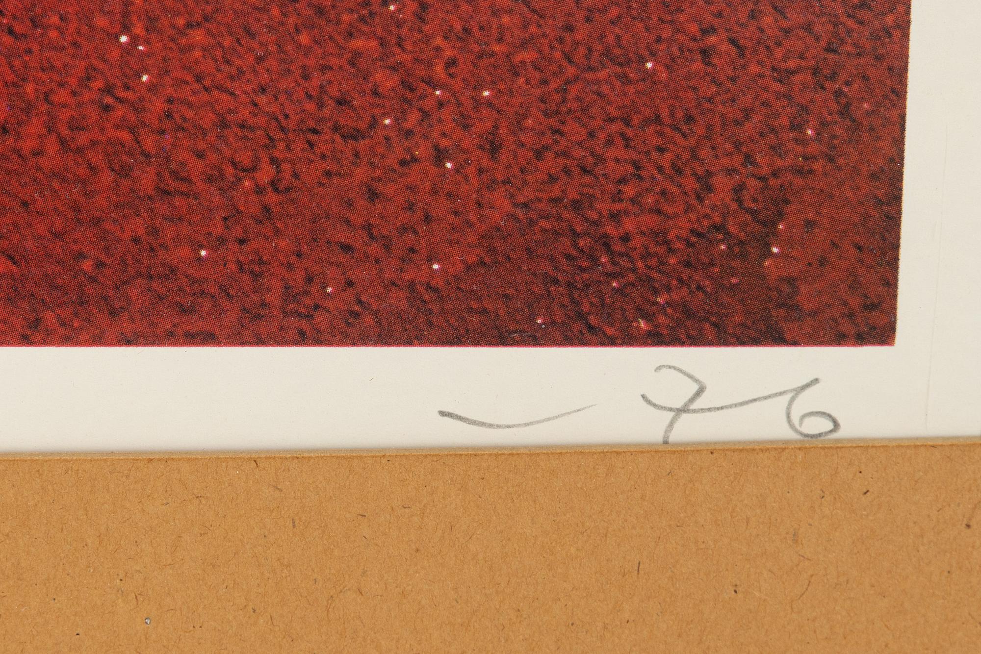 Reidar Särestöniemi, offset, 1976. signed 228/300.