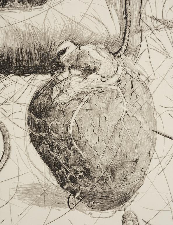 Linn Fernström, "Hjärtbitare".