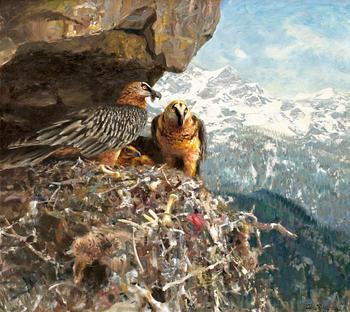 501. Thure Wallner, Eagles nest.