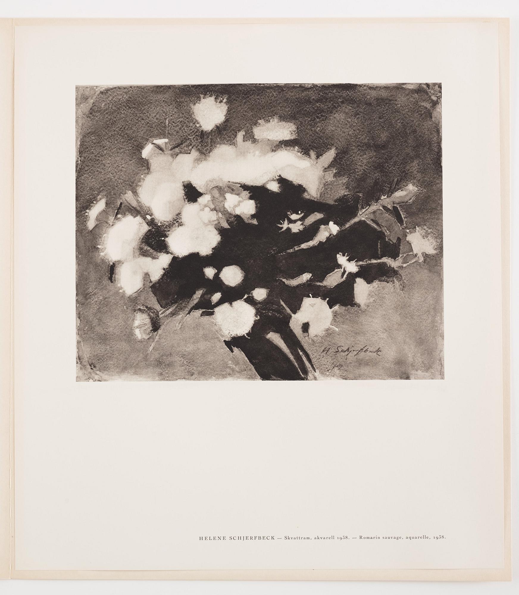 Helene Schjerfbeck Efter, "Helene Schjerfbeck".