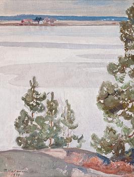 556. Pekka Halonen, VIEW OVER THE LAKE.