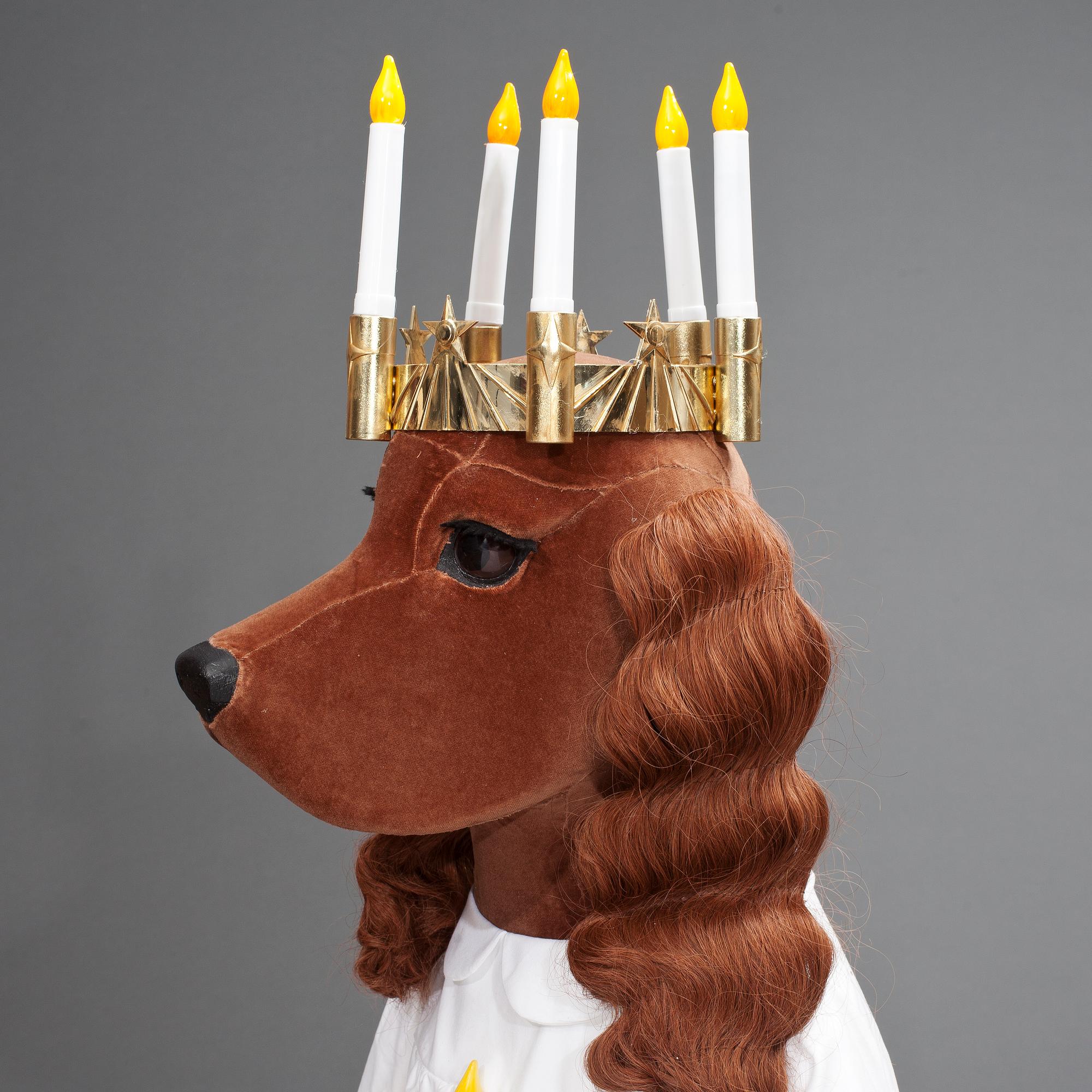 HUND, cockerspaniel "Jeremy", NK 2013, JoAnn Tan Studio.