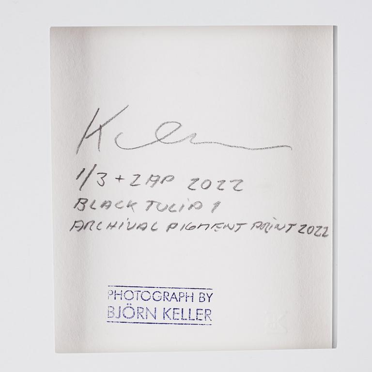 Björn Keller, "Black Tulip 1", 2022.