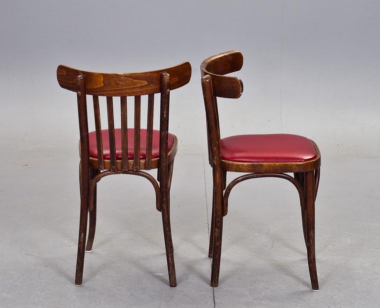 STOLAR, 8 st, Thonet-typ, 1900-tal.