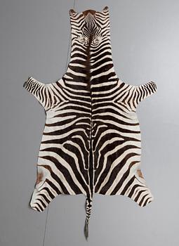 An early 20th century zebra skin.