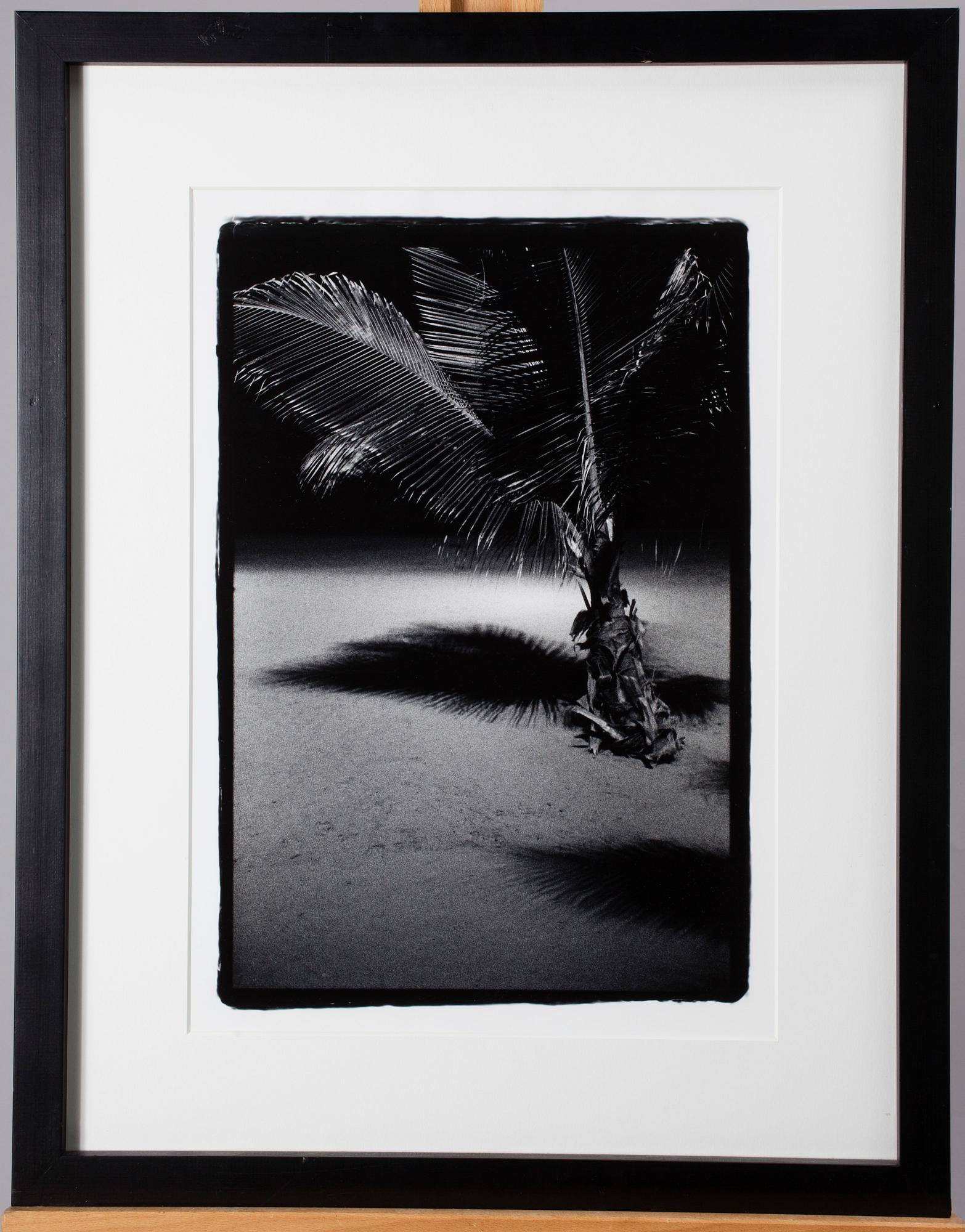 JARI ARFFMAN, selen tonad gelatin silver print, a tergo signerad och daterad 2004, numrerad 8/4.