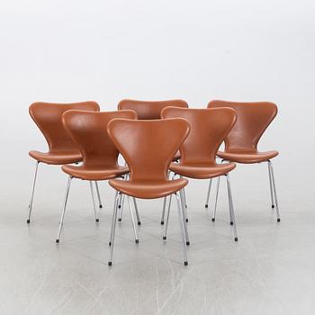 ARNE JACOBSEN, 6 "Sjuan", chairs, Fritz Hansen, Denmark.